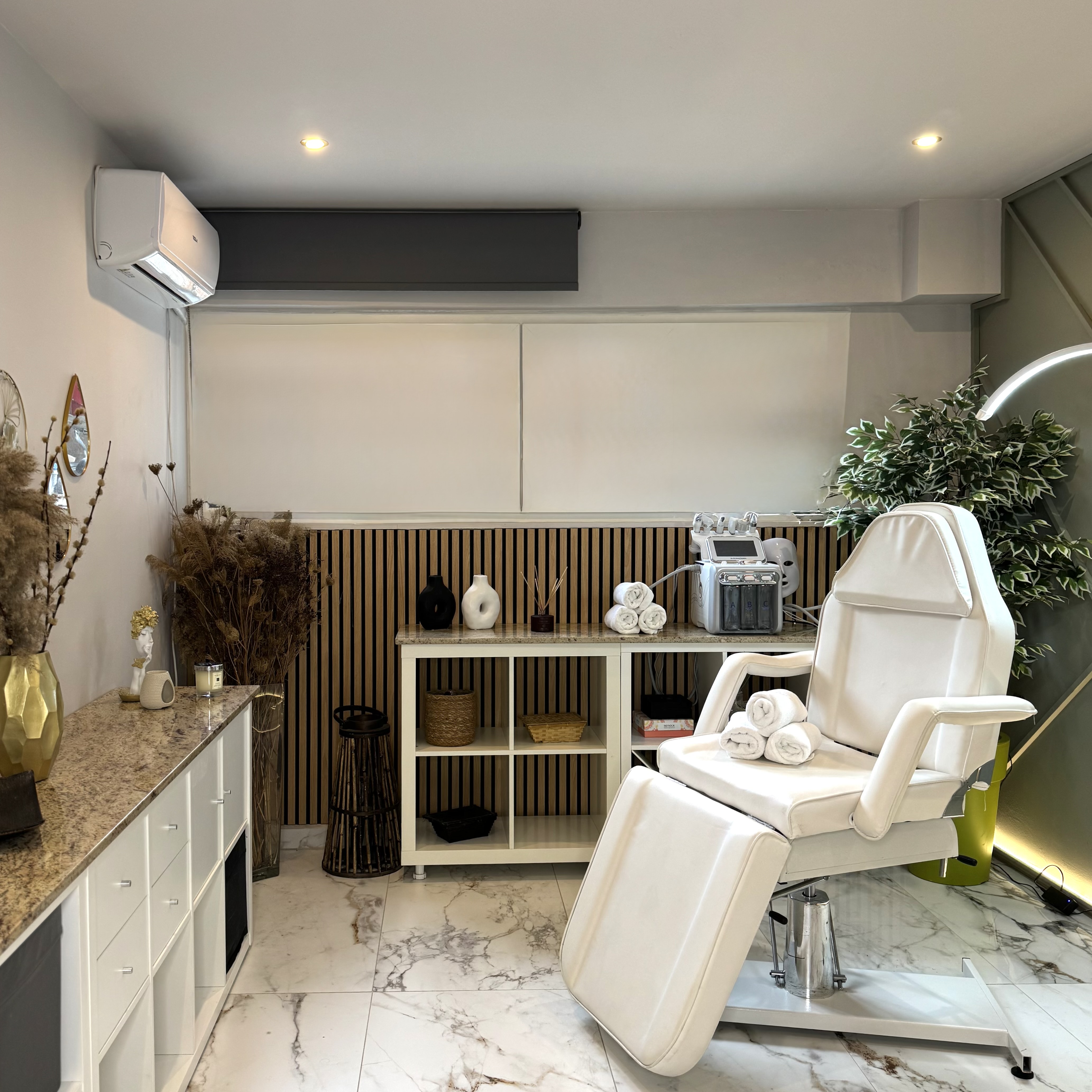 Holistic Facial Treatment
